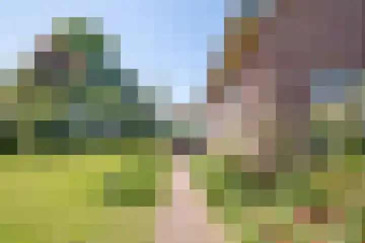 Romhof 33 Beilen thumbnail 41