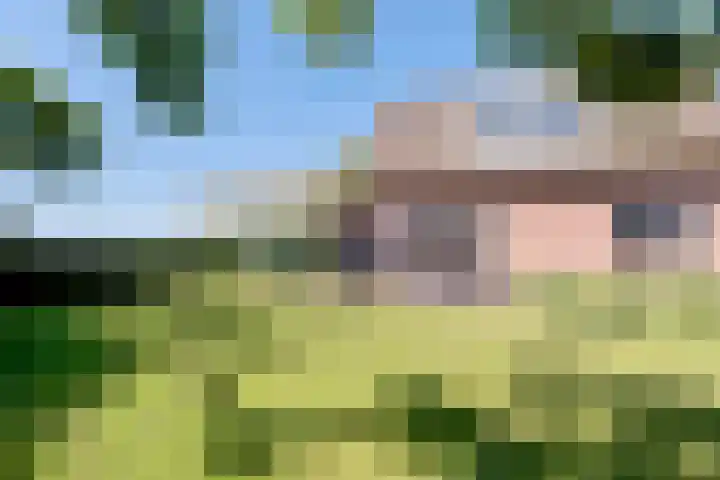 Romhof 33 Beilen thumbnail 50