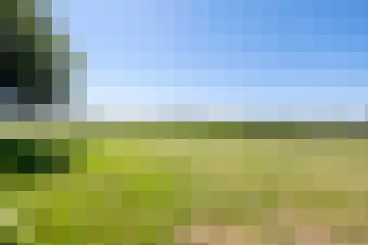 Romhof 33 Beilen thumbnail 55