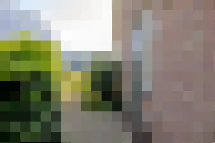 Romhof 33 Beilen thumbnail 61