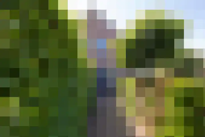 Romhof 33 Beilen thumbnail 63