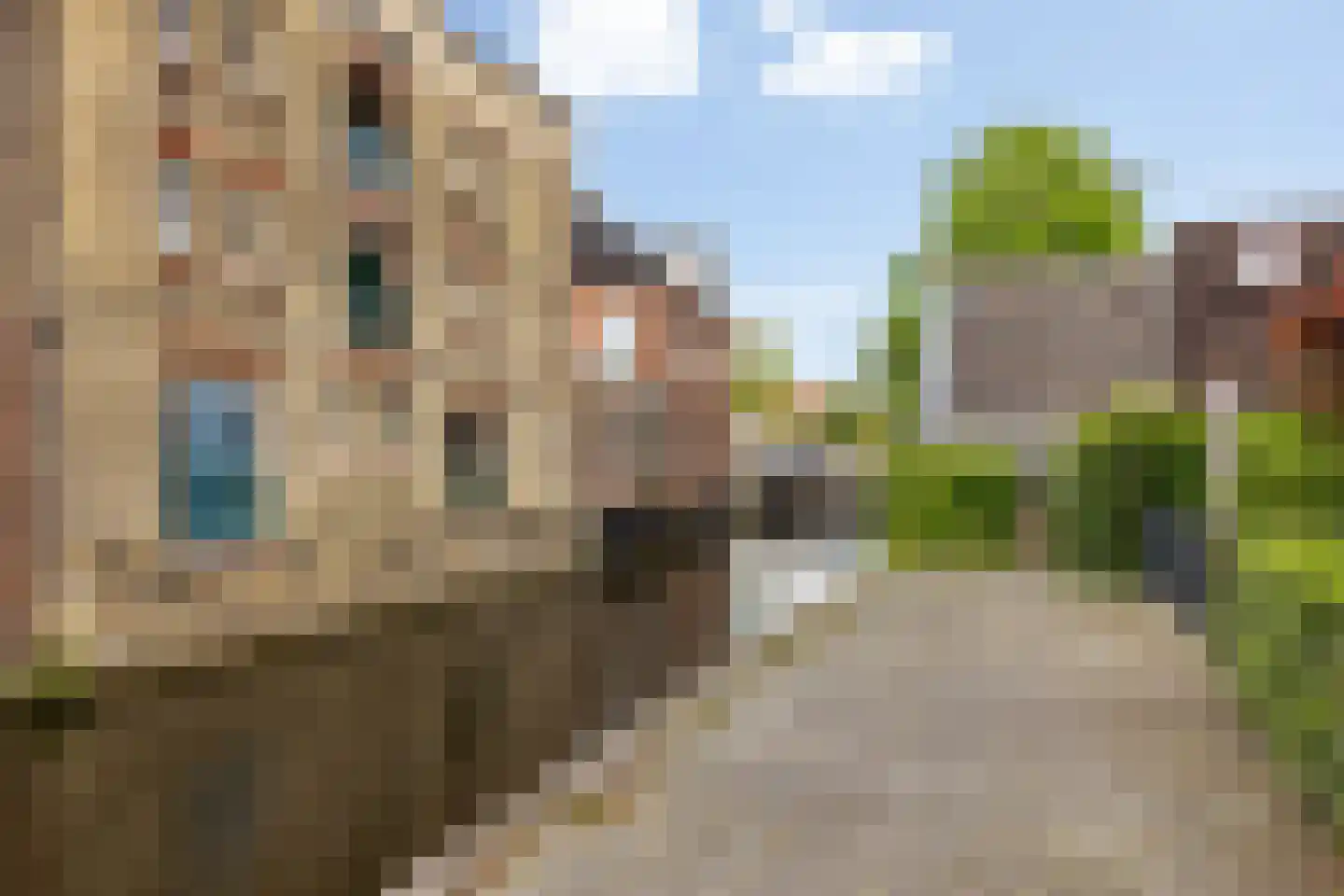 Romkeslaan 10 Leeuwarden thumbnail 42