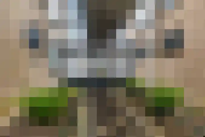 Romkeslaan 112 Leeuwarden thumbnail 19