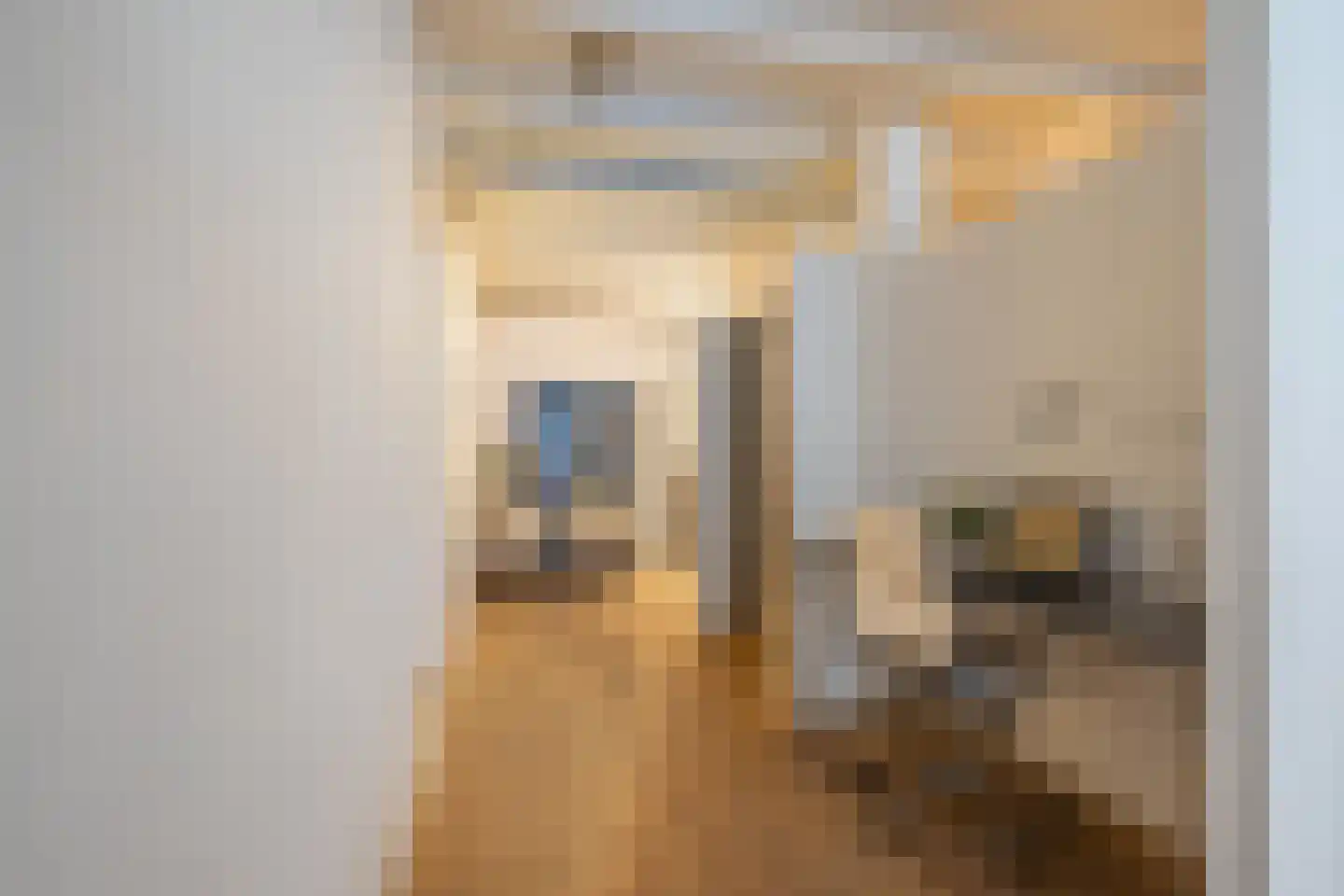 Romkeslaan 25 Leeuwarden thumbnail 4