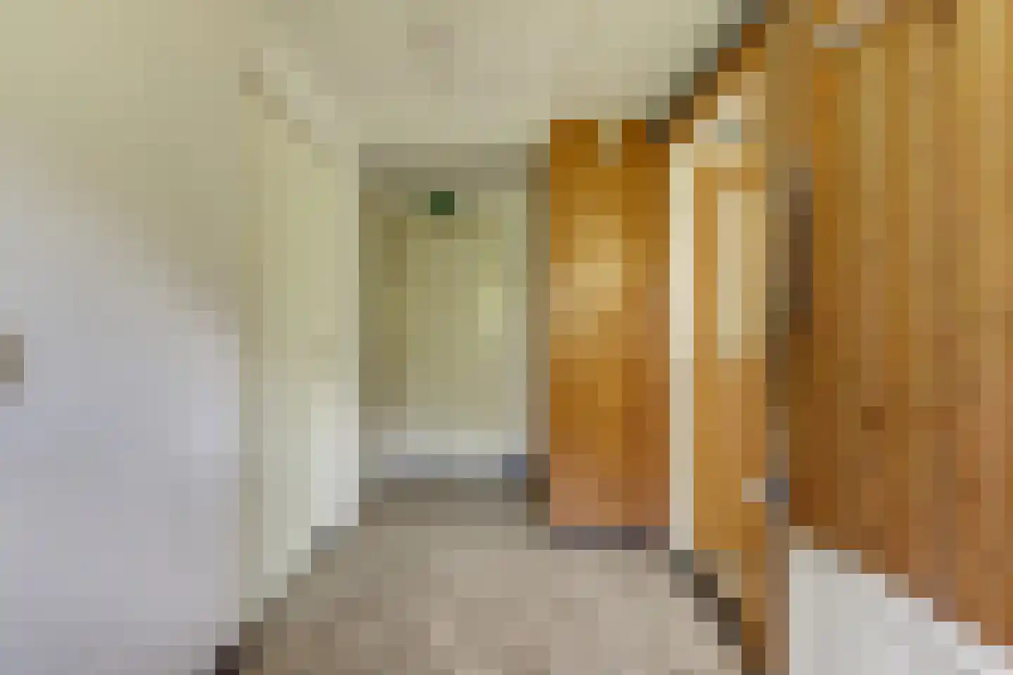 Rommelderdijk 2 Vorden thumbnail 13