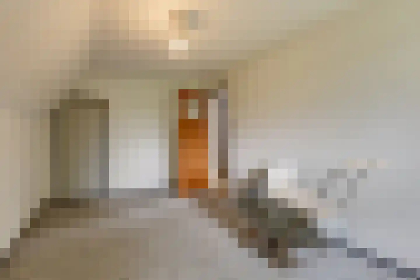 Rommelderdijk 2 Vorden thumbnail 18