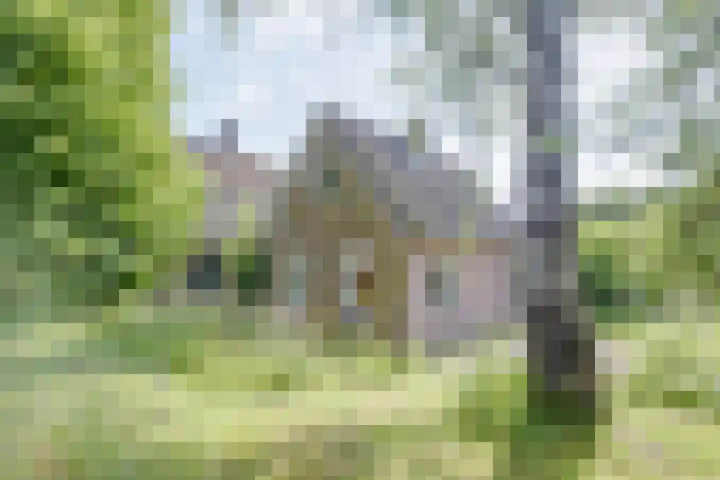 Rommelderdijk 2 Vorden thumbnail 19