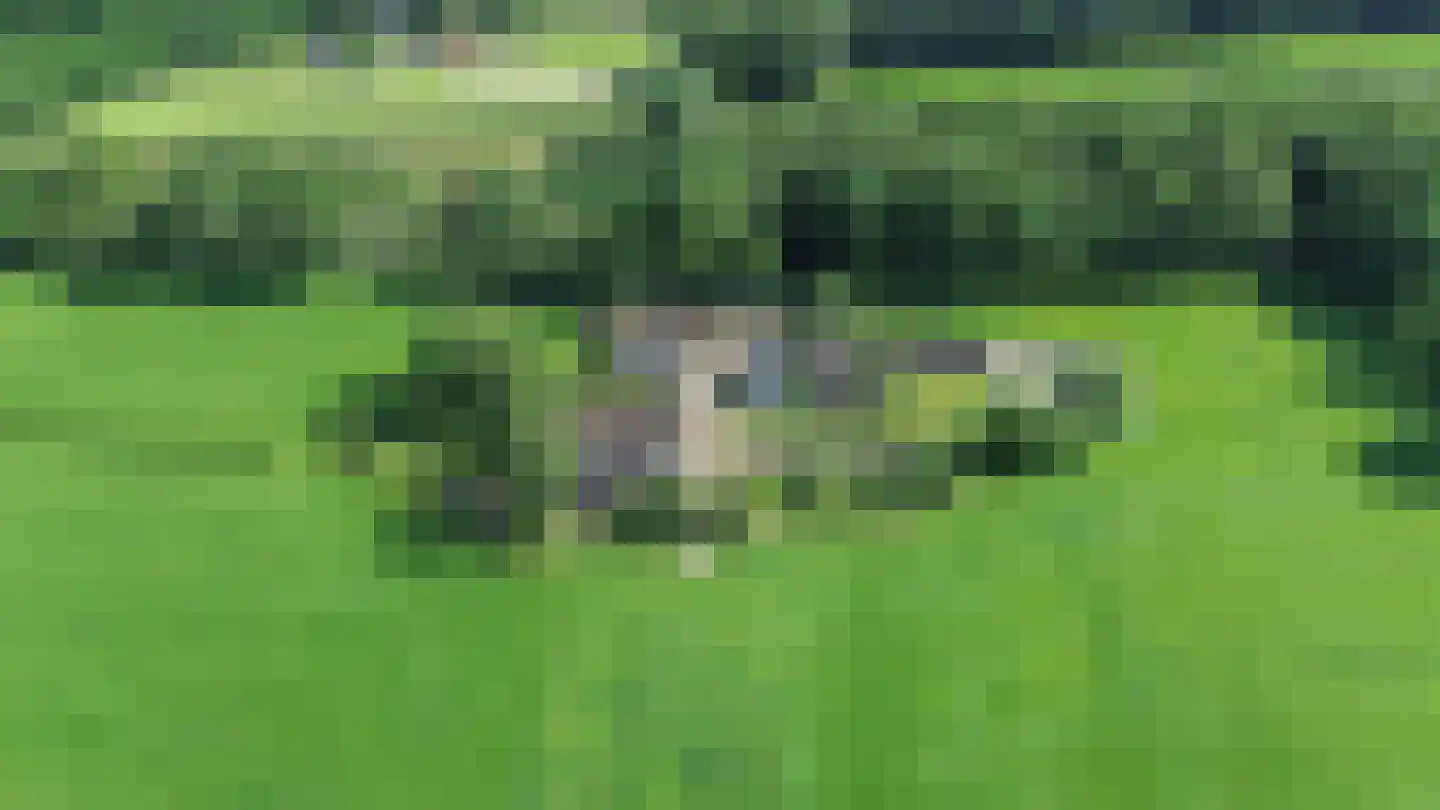 Rommelderdijk 2 Vorden thumbnail 30