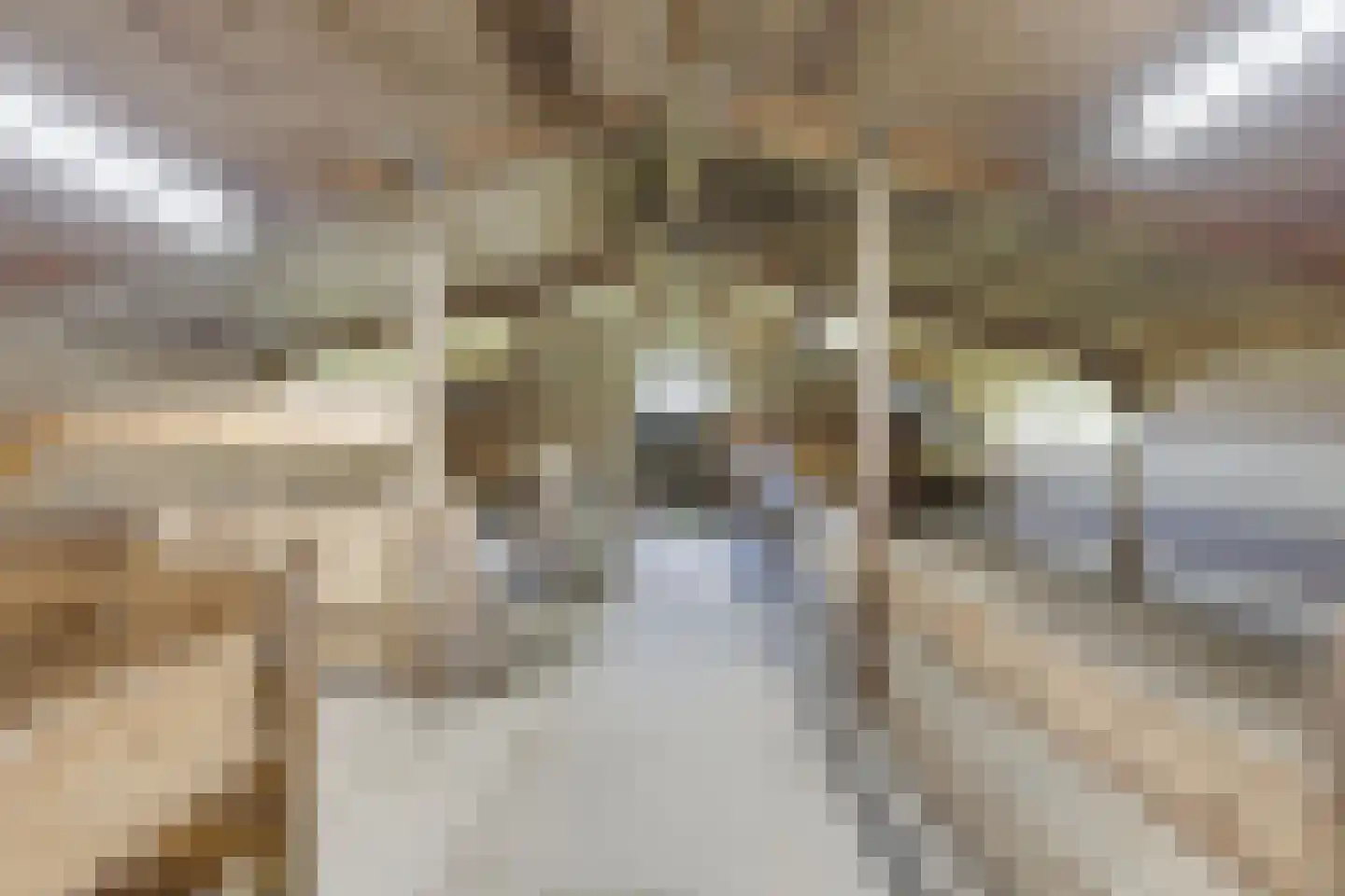 Rommelderdijk 2 Vorden thumbnail 31