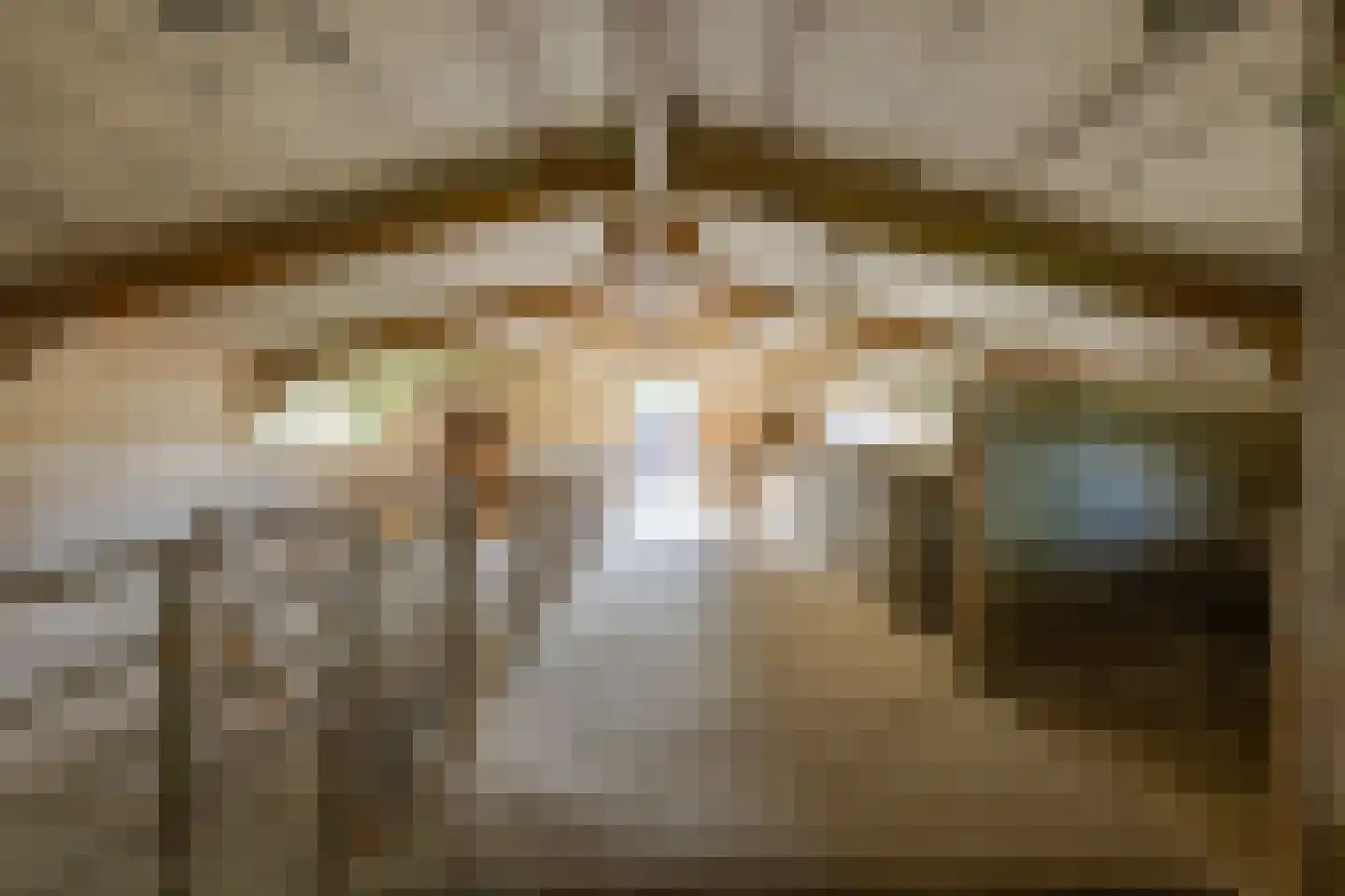 Rommelderdijk 2 Vorden thumbnail 32