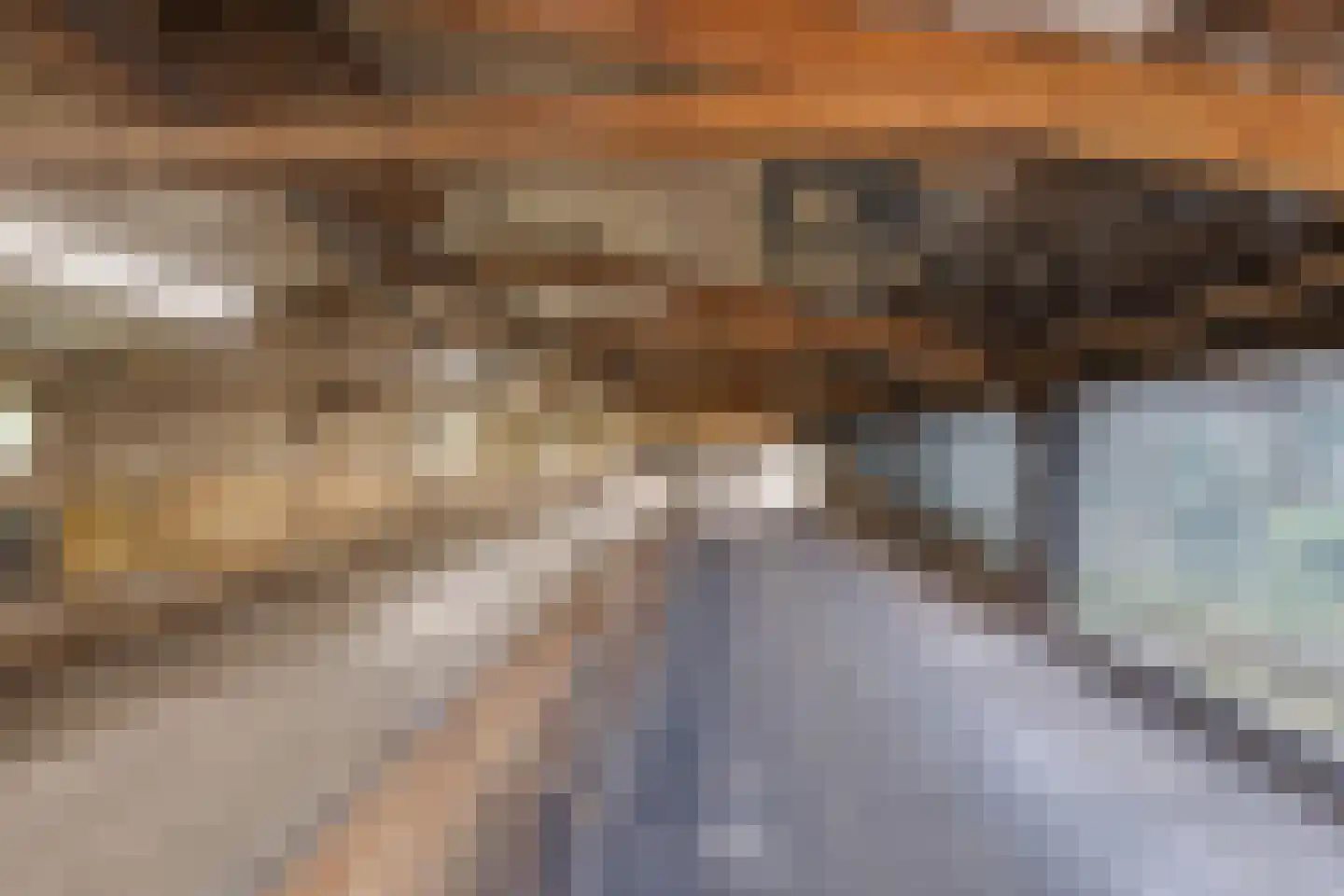 Rommelderdijk 2 Vorden thumbnail 35