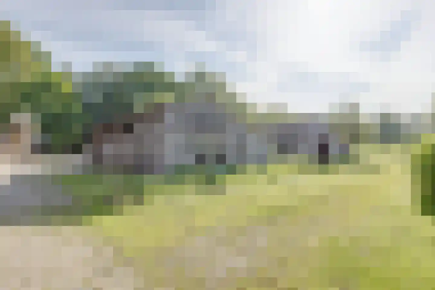 Rommelderdijk 2 Vorden thumbnail 37