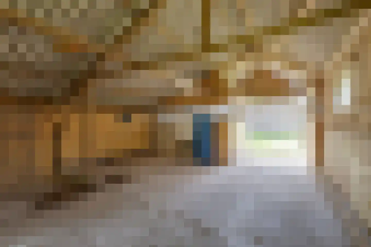 Rommelderdijk 2 Vorden thumbnail 39