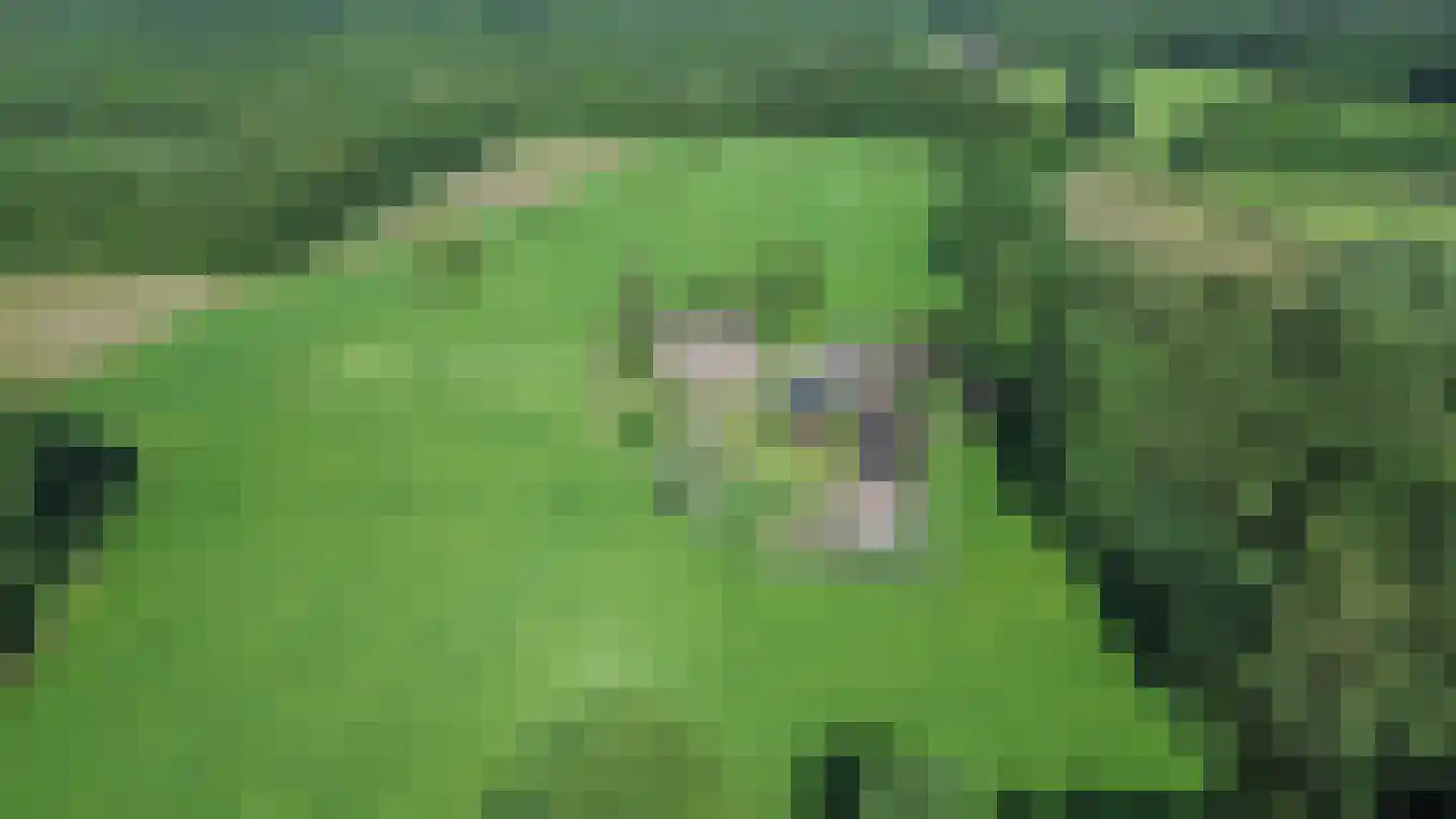 Rommelderdijk 2 Vorden thumbnail 4