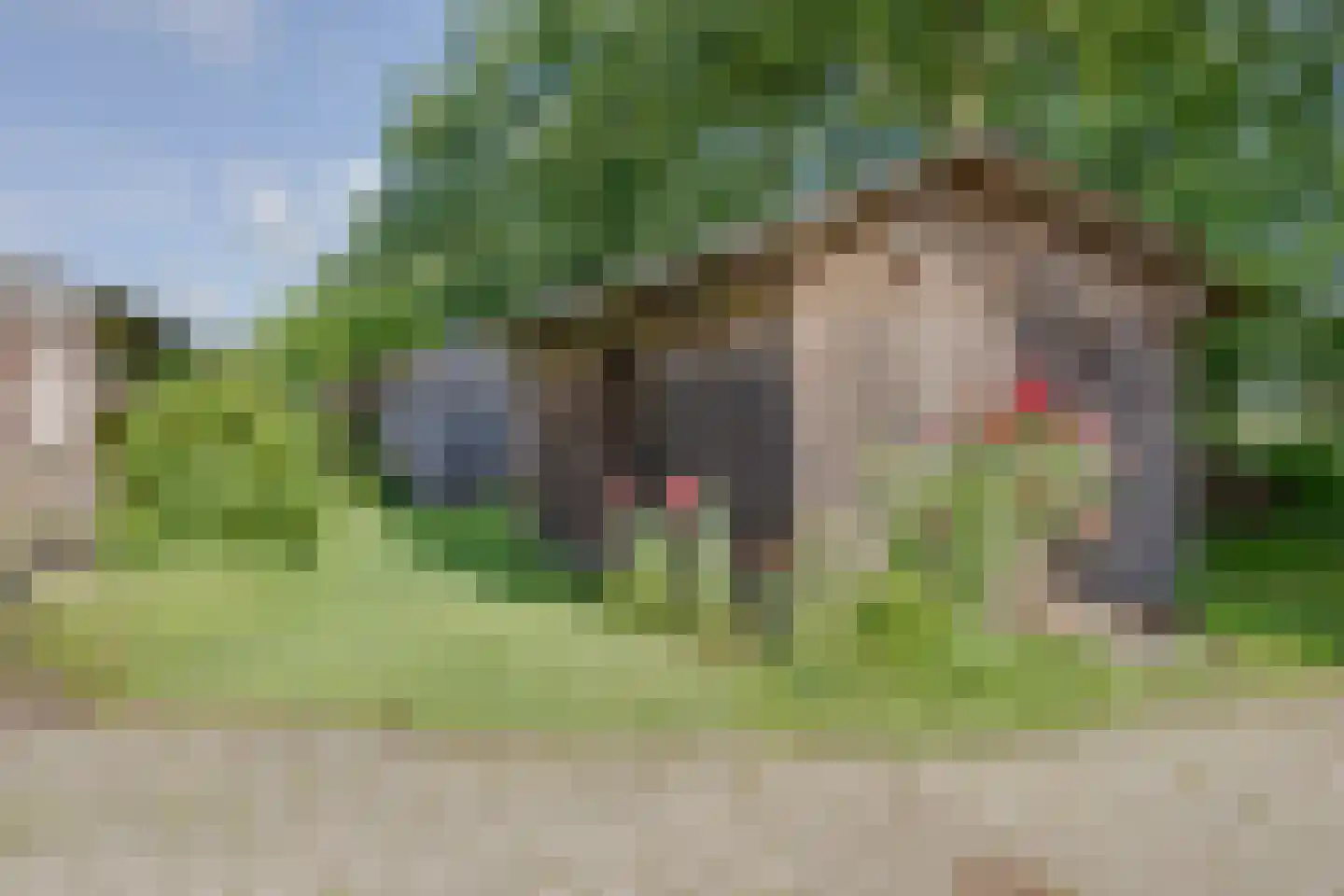Rommelderdijk 2 Vorden thumbnail 42
