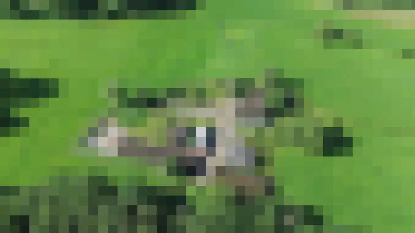 Rommelderdijk 2 Vorden thumbnail 47