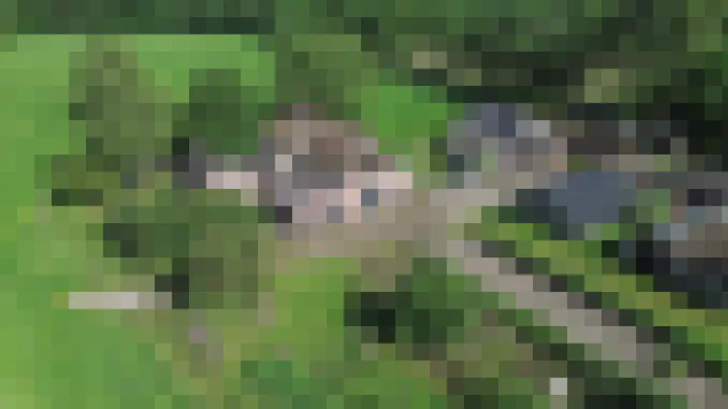 Rommelderdijk 2 Vorden thumbnail 49