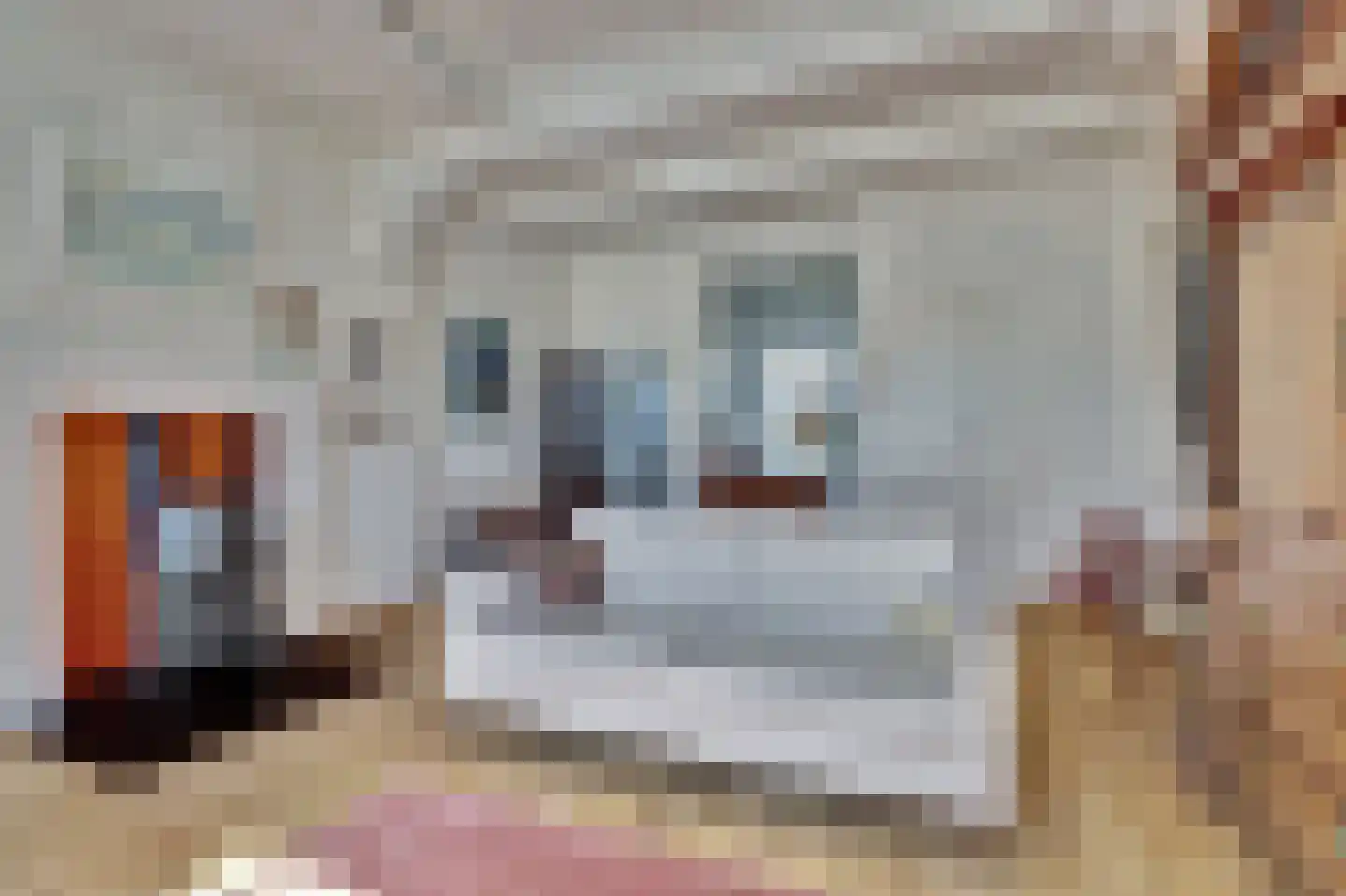 Rommelhaven 8 Harlingen thumbnail 12