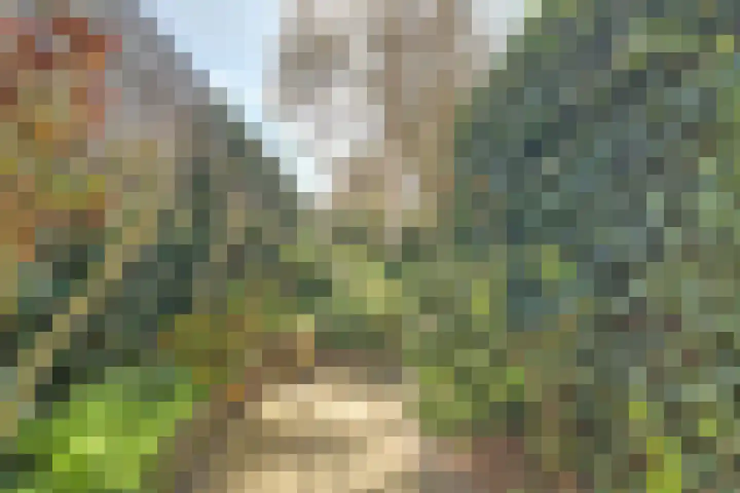 Rommelhaven 8 Harlingen thumbnail 35