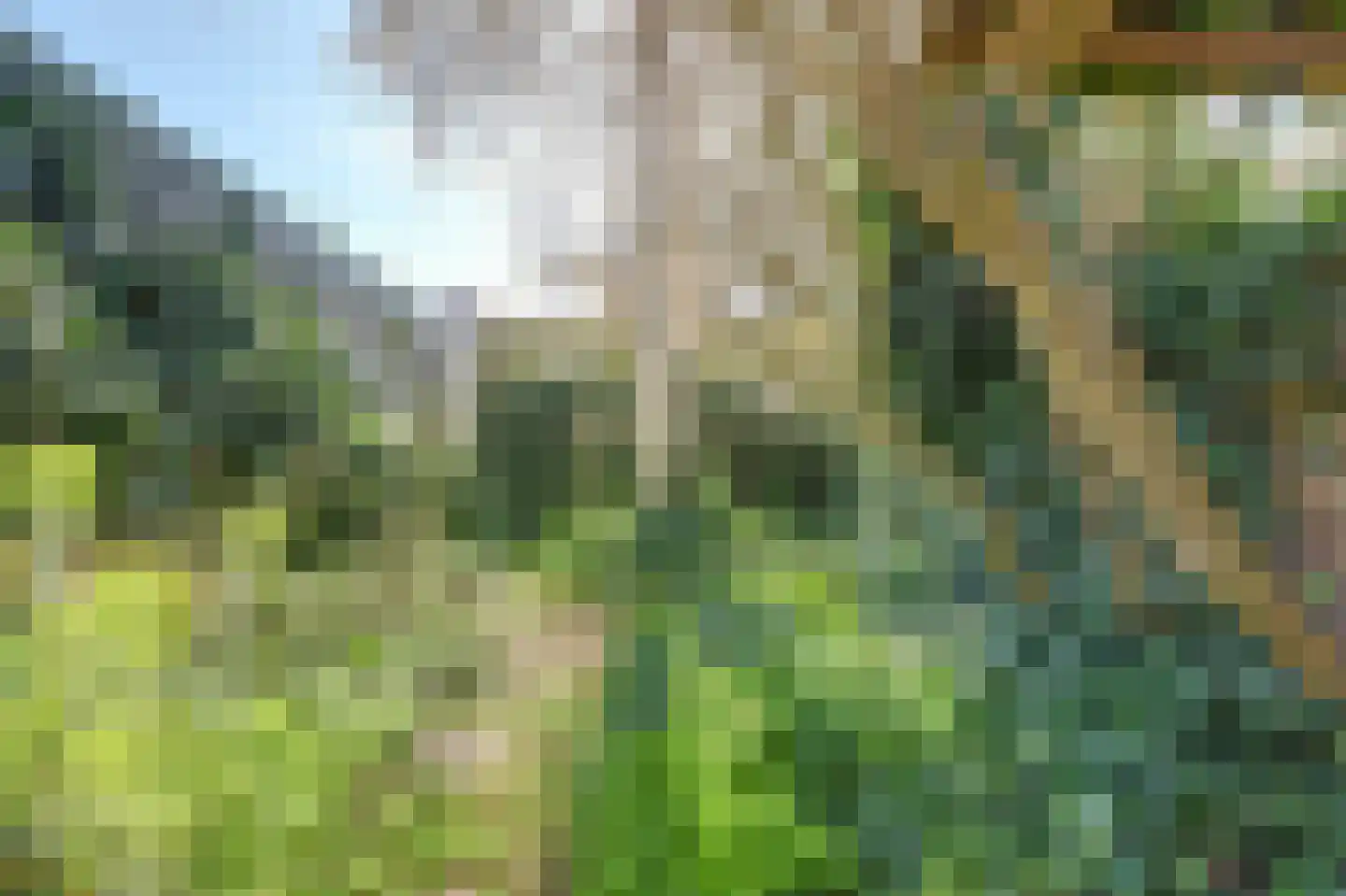 Rommelhaven 8 Harlingen thumbnail 36
