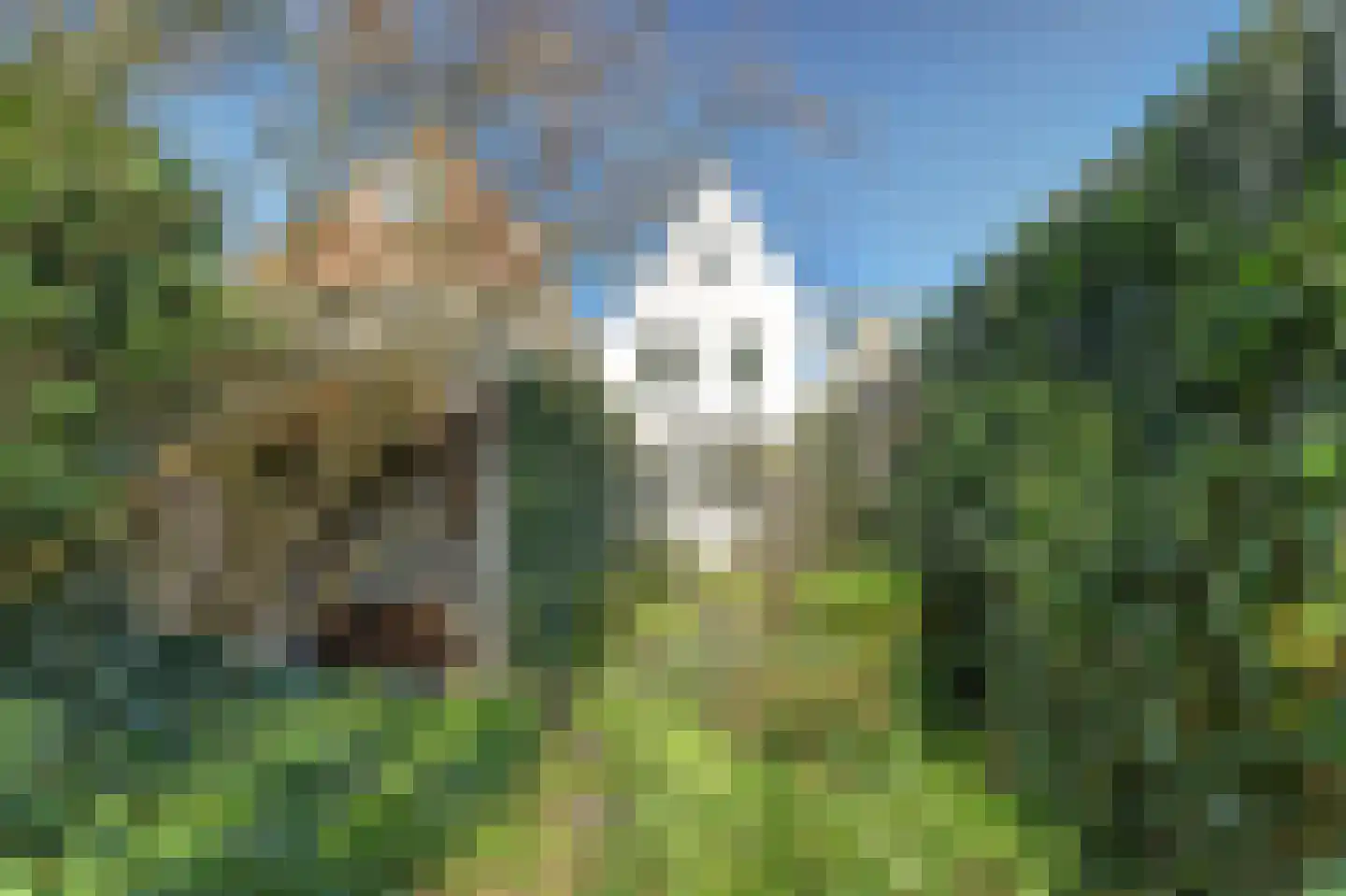 Rommelhaven 8 Harlingen thumbnail 37