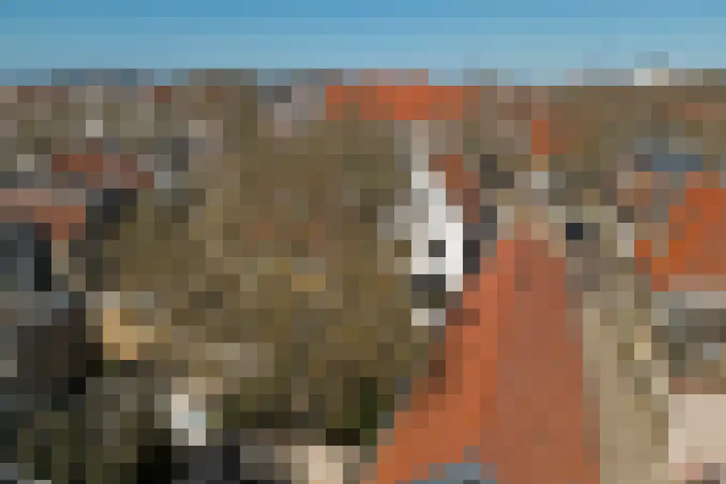 Rommelhaven 8 Harlingen thumbnail 39