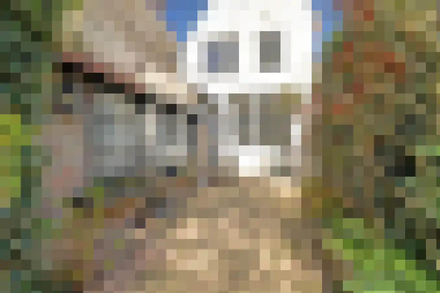 Rommelhaven 8 Harlingen thumbnail 4