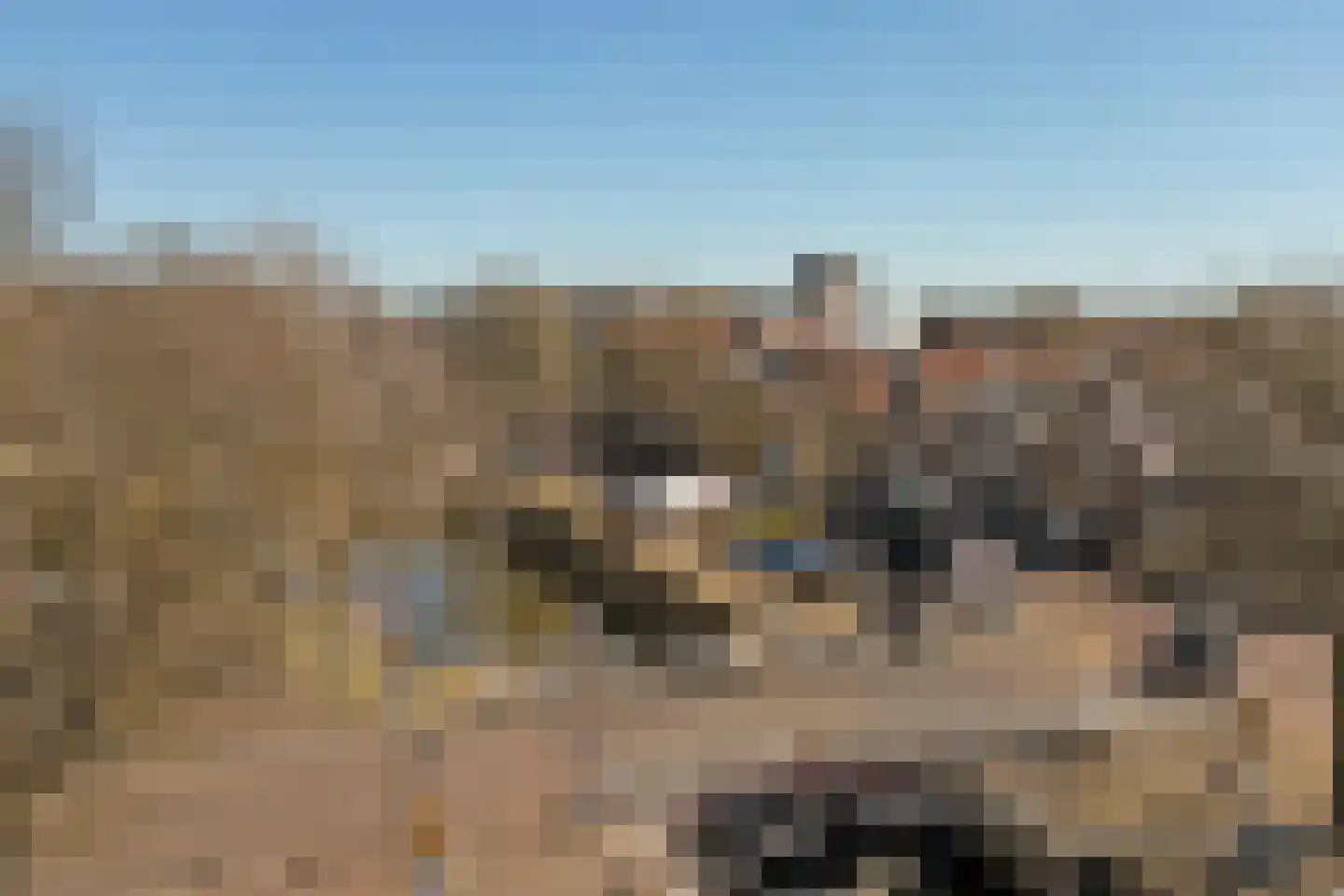 Rommelhaven 8 Harlingen thumbnail 45