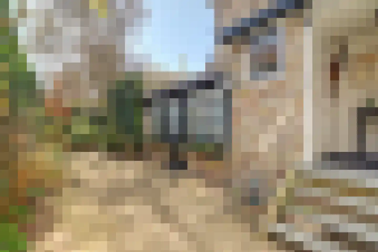Rommelhaven 8 Harlingen thumbnail 5