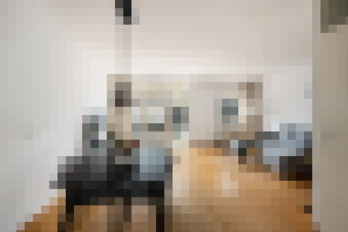 Rommepad 16 Rotterdam thumbnail 7