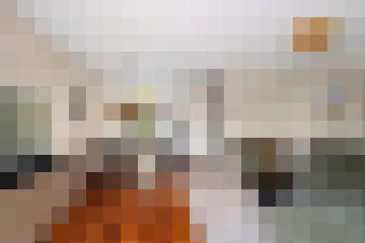 Rommepad 3 Rotterdam thumbnail 11