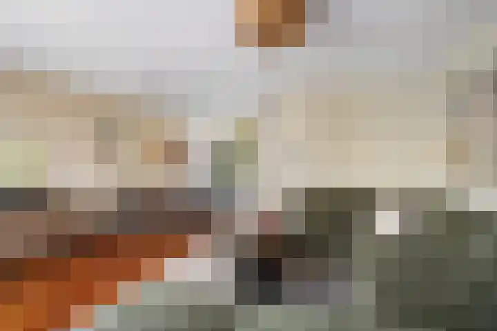 Rommepad 3 Rotterdam thumbnail 12