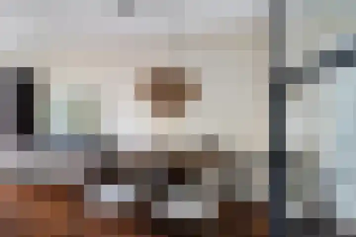 Rommepad 3 Rotterdam thumbnail 13