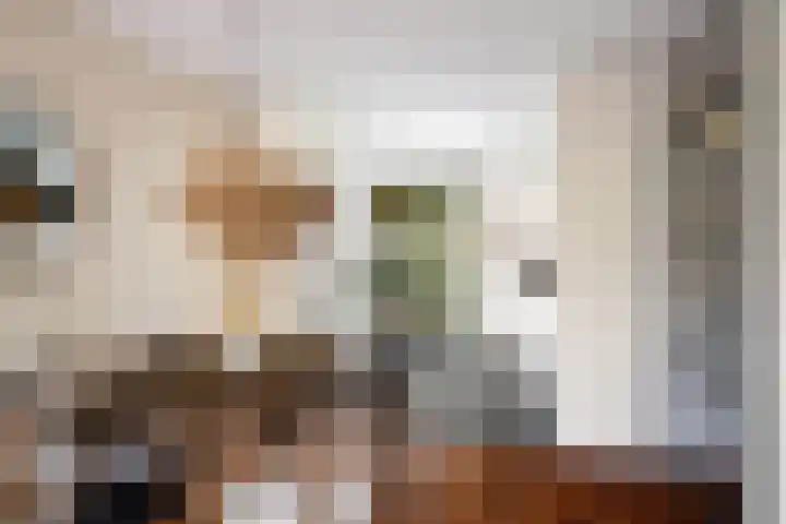 Rommepad 3 Rotterdam thumbnail 14