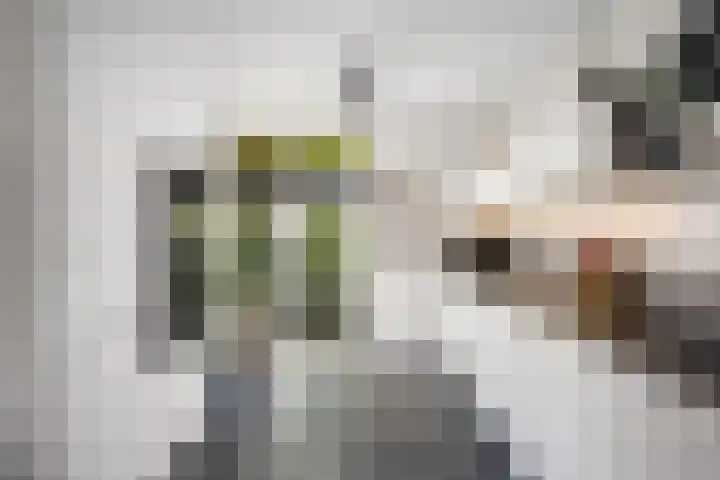 Rommepad 3 Rotterdam thumbnail 15