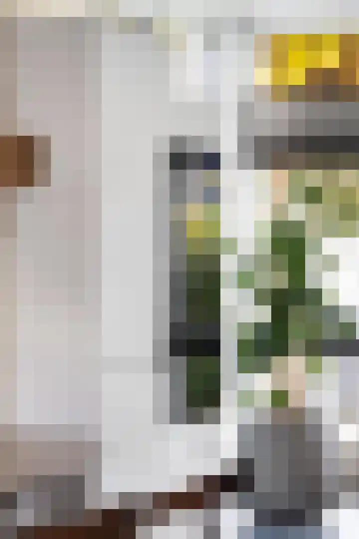 Rommepad 3 Rotterdam thumbnail 16