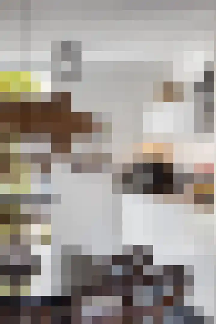 Rommepad 3 Rotterdam thumbnail 17