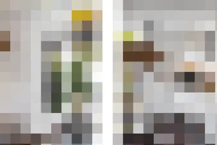 Rommepad 3 Rotterdam thumbnail 18