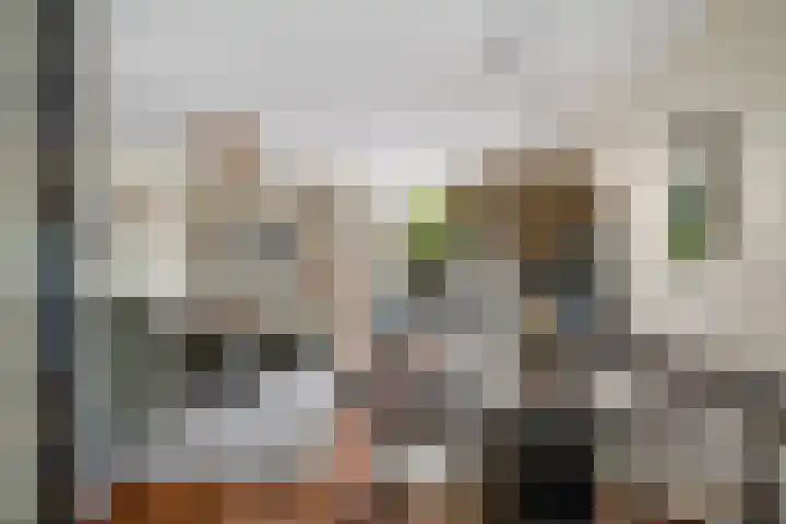 Rommepad 3 Rotterdam thumbnail 19