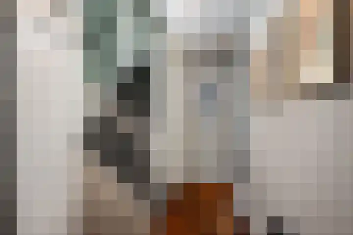 Rommepad 3 Rotterdam thumbnail 20