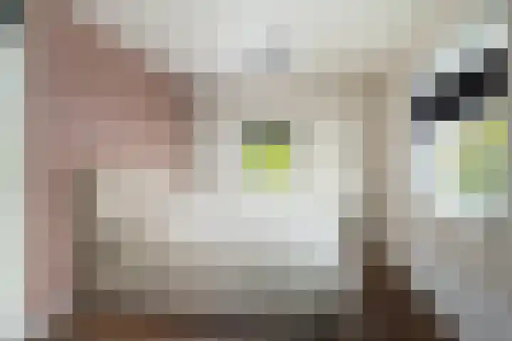 Rommepad 3 Rotterdam thumbnail 22
