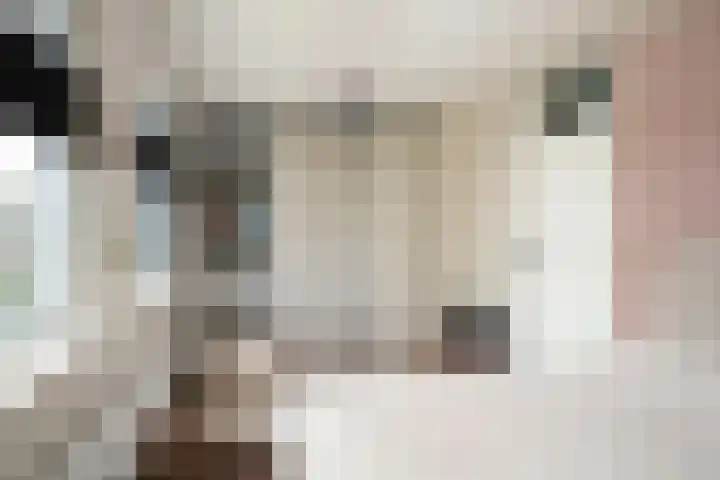 Rommepad 3 Rotterdam thumbnail 24
