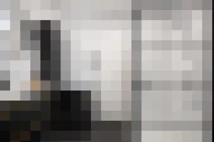 Rommepad 3 Rotterdam thumbnail 25