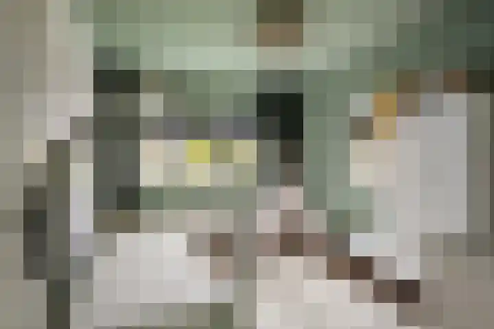 Rommepad 3 Rotterdam thumbnail 31