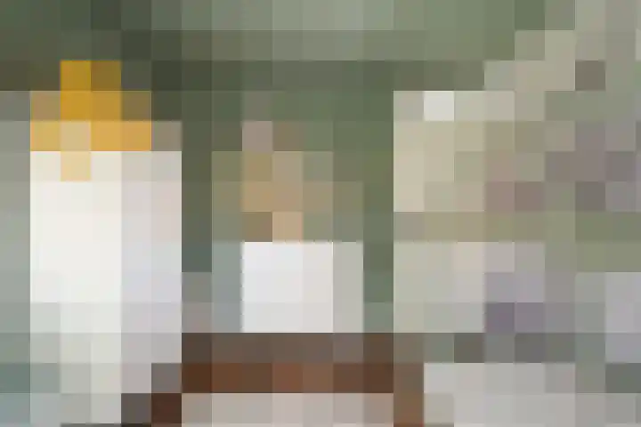 Rommepad 3 Rotterdam thumbnail 32