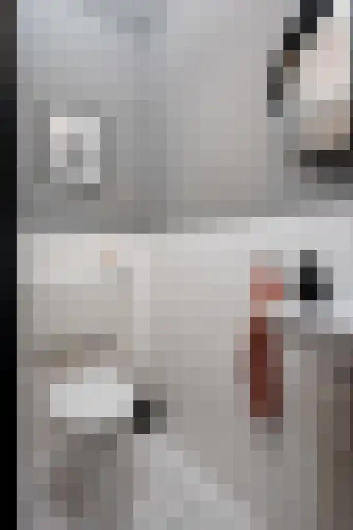 Rommepad 3 Rotterdam thumbnail 34