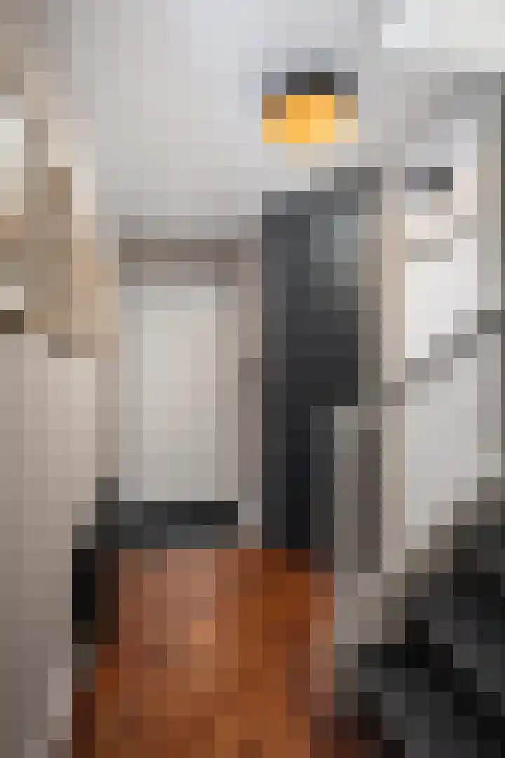 Rommepad 3 Rotterdam thumbnail 35