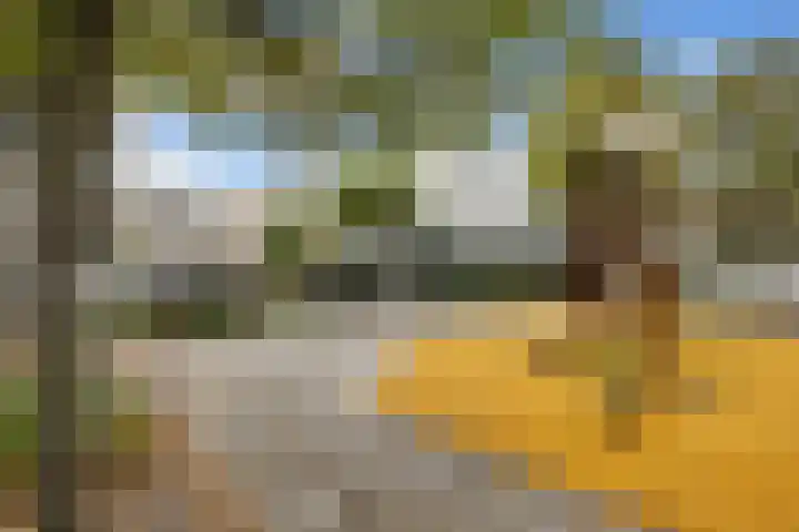 Rommepad 3 Rotterdam thumbnail 38