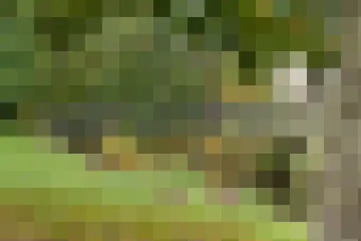 Rommepad 3 Rotterdam thumbnail 40