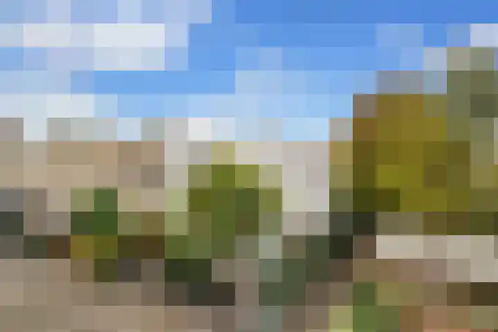 Rommepad 3 Rotterdam thumbnail 41